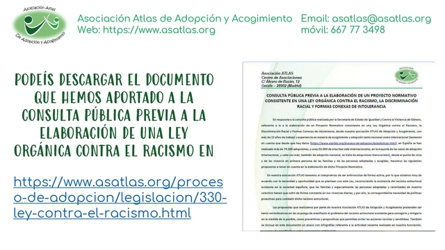 Resumen consulta publica ley antirracista page 00088